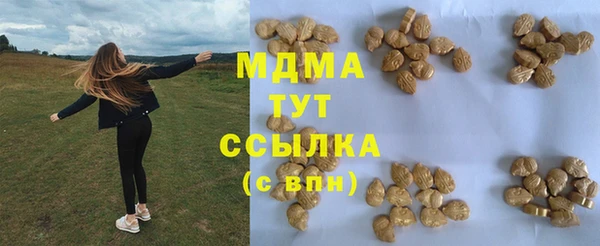 мдпв Магас