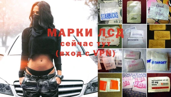 мдпв Магас
